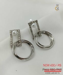 Stylish Double Hoop Earrings