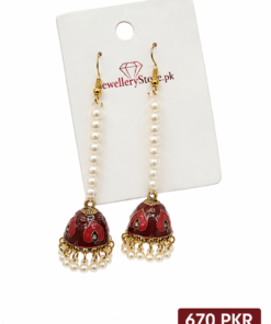 Kashmiri Painted Jhumka Earrings