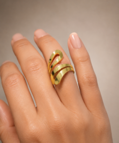 Premium Stainless Steel Ring