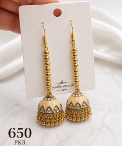 Kashmiri Painted Long Jhumka Earrings